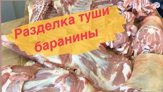 РАЗДЕЛКА ТУШИ БАРАНИНЫВЕСЬ ПРОЦЕСС