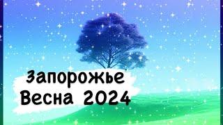 Запорожье весна какая она будет?