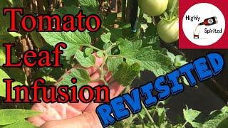 30% abv Tomato Leaf Drink Revisited