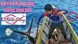 mancing pakai umpan jitu strike ikan babon joran sampai patah