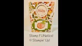 Stampin’ UP Give it a Whirl tips and lots of card ideas with StampFUNatics