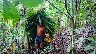 Solo survival   membuat tempat perlindungan yang alami dihutan rimba