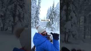 Best winter activities to do in Lapland Finland #winterwonderland #travel