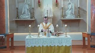 Catholic Mass on Thursday 17 November 2022 - Memorial of St Elizabeth of Hungary
