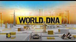 WION LIVE News  World Latest English News  International News  Top English News  World DNA Live