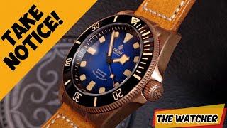 Incredible Bronze IXDAO Diver  Full Review  The Watcher