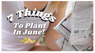 7 Things You Can And Should Plant In June - Zones 3 - 11 