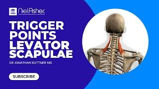 Trigger Point Therapy - Treating Levator Scapulae