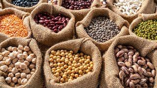 Legumes Natures Protein-packed Gems