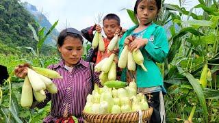 Dia and her children harvested sticky corn and boiled it to sell at the market.