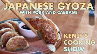 My Favorite Japanese Gyoza Dumplings  Kenjis Cooking Show