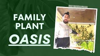 ️ Exclusive Tour My Mums Epic Houseplants in Greece & Cyprus