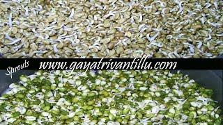 Sprouts - Molakalu - Indian Andhra Telugu Vgetarian Recipes
