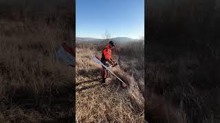 Stihl Fsa 135 with 250 mm brush knife in dry grass. #shorts