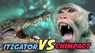 A new way to play Pokemon ITZGATOR VS CHIMPACT