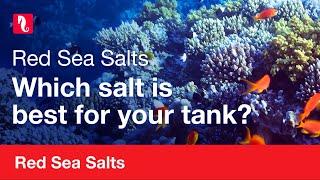 Red Sea Salts  Which is best for your tank?