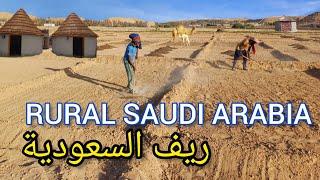 Unseen Rural Life In Saudi Arabia  الحياة الریفیةالسعودیة  Pure Natural Life