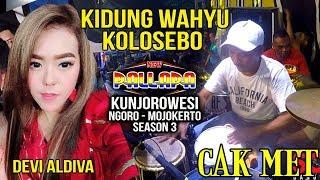 KIDUNG WAHYU KOLOSEBO - DEVI ALDIVA - CAK MET NEW PALLAPA KUNJOROWESI NGORO 2018