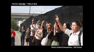 동물해방공동체 직접행동DxEDirect Action Everywhere Korea