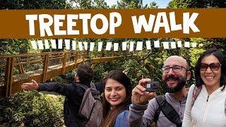 TREETOP WALK e Festa de Outono Serralves feat. O Miradouro