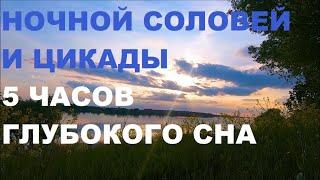 КРЕПКИЙ СОН ПОД ПЕНИЕ НОЧНОГО СОЛОВЬЯСВЕРЧКОВ И  ЦИКАД ВАМ ОБЕСПЕЧЕН.ЗВУКИ ПРИРОДЫ БЛАГОТВОРНЫ.