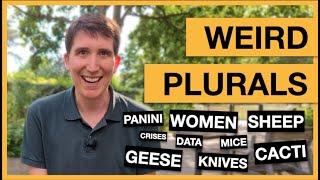 Weird plurals in English Men geese sheep knives and many more