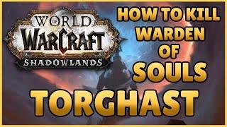 How To Kill Warden of Souls Torghast - World of Warcraft Shadowlands