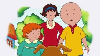 Caillou 501 - Caillous CricketDog DilemmaThe Spider Issue