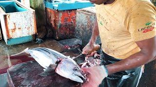 Perfect Tuna Fish Cutting Skills Sri Lanka  Baruwala  Fish Cutting Experts @FishCuttingYT