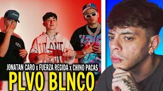 REACCIÓN Jonatan Caro x Fuerza Regida x Chino Pacas - PLVO BLNCO