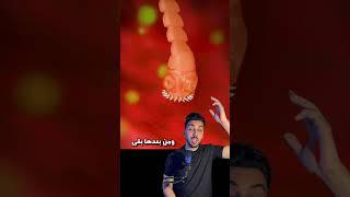 ما هي الدودة الشريطية المرعبه