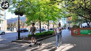 New Street Food Market to Berczy Park  Downtown Toronto Walk May 2024