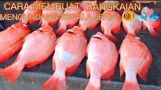 #cara memancing ikan kakap merah#dan rankaian mengundang segalah ikan dasar#papa rette mania#