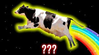 8 Cow Moo Sound Variations in 31 Seconds. Luxury Sound Effects