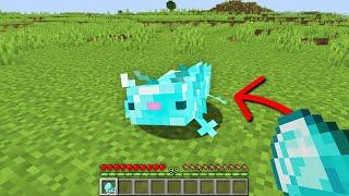 Minecraft But You Can Breed Axolotls From Any Item...