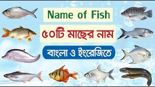 ৫০টি মাছের নাম বাংলা ও ইংরেজিতে  Name of Fish Bangla & English  Basic English learning for kids