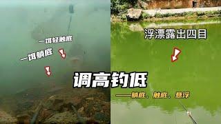 調高釣低，想知道魚吃餌雙鉤是躺底好還是懸浮，看完之後全明白了