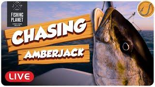 Weer fishing for Amberjack Ocean Fishing  Fishing Planet LIVE