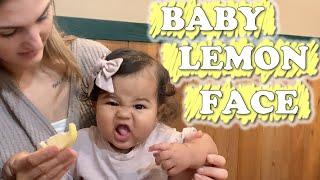 Baby Lemon Face WK 463 Bratayley