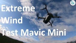 DJI Mavic Mini Hurricane Test   Mavic Mini Wind Test - Can the Mavic Mini resist strong wind?