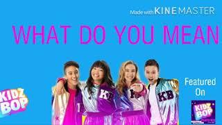 Kidz bop party mix- What do you mean