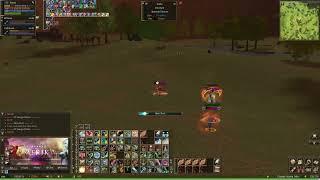 Lineage II Amerika - PvP Zone - Oh... the Randoms again...