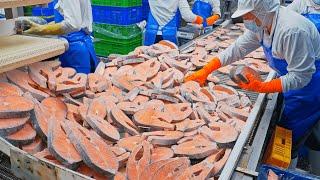 Salmon Cutting Processing Plant Salmon Miso Soup Making 全台最大鮭魚加工廠 鮭魚味增湯製作- 台灣海鮮工廠 - Food Factory