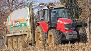 MANURE SPREADING 2020  Massey Ferguson 7724 S + Bossini B260 Forato