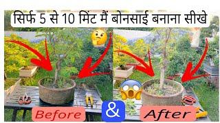 सिर्फ 5 से 10 मिंट मैं बोनसाई बनाना सीखे   Learn how to make bonsai in just 5 to 10 minutes