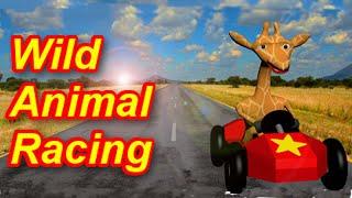 I played Wild Animal Racing so you dont have to