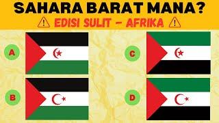 Tebak Bendera Negara Afrika Utara Selatan Mirip yang Benar Asli  Uji Wawasanmu