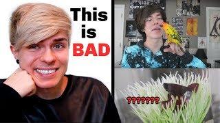 Reacting to My First Meet My Pets Video and bad pet care