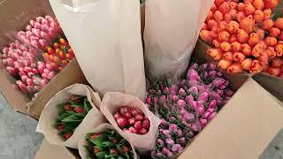 Цветочный рынок Краснодар 3 марта 2024г