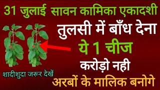 31 जुलाई कमिका एकादशी के दिन तुलसी मे बाँध देना ये एक चीज 1 महिने में बनेगे करोड़पति